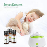 MAYJAM Essential Oils Gift Set – 6x10ml Bottles: Lavender, Eucalyptus, Peppermint, Tea Tree, Sweet Orange & Lemongrass